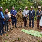 Bengo: Piri abre Festas Populares com ritual tradicional Kipidy no Piri Antigo