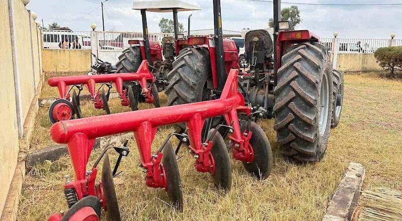 Falta de água e financiamento condicionam produção agropecuária no Kilamba