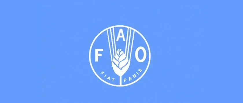 Fórum da FAO em Roma debate inovação e financiamento para a alimentação