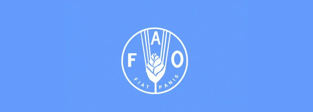 Fórum da FAO em Roma debate inovação e financiamento para a alimentação