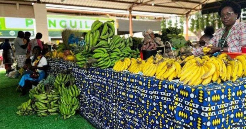 Expo Bengo 2026 arranca no mercado do Panguila com cerca de 400 expositores e aposta na inovação industrial